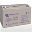 12V/110AH AGM Deep cycle Batt (M8)