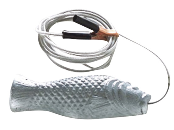 Anode, zinc de mérou