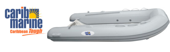 Dinghy, 3.1m 10′ Fiberglass Single Floor Grey