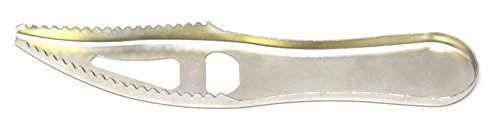 Écailleur à poisson, 7