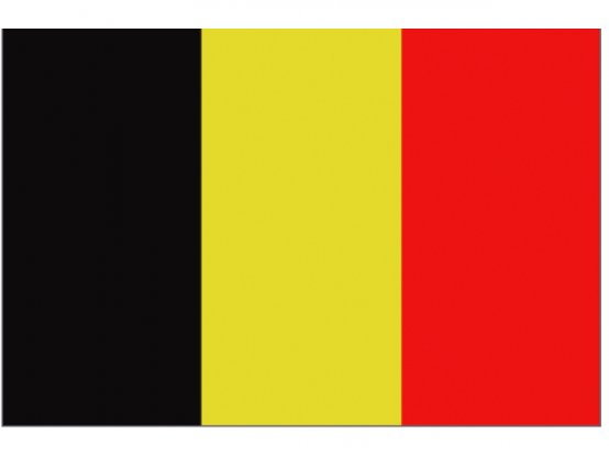 Drapeau de Belgique 20 x 30 cm