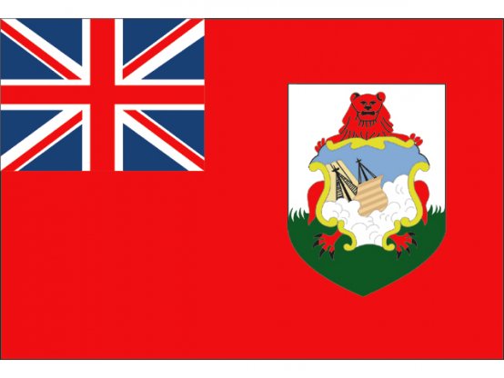 Flag, Bermuda  12" x 18" / 30 x 45cm