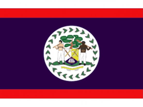 Drapeau du Belize 30 x 45 cm