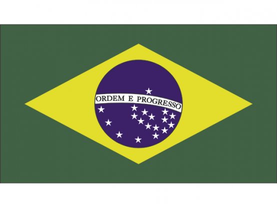 Flag, Brazil  20 x 30cm