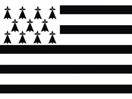 Drapeau de Bretagne 20 x 30 cm
