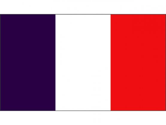 Drapeau de la France en nylon 90 x 150 cm