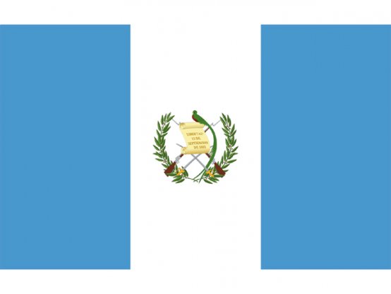 Drapeau du Guatemala 20 x 30 cm