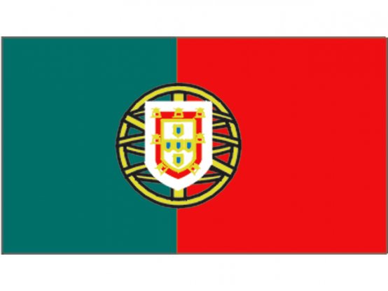 Drapeau du Portugal 20 x 30 cm