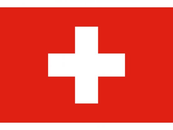 Drapeau suisse 20 x 30 cm