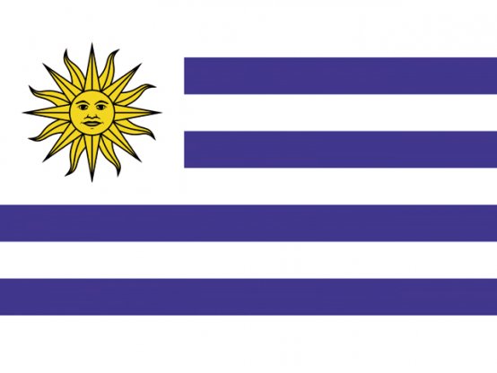 Drapeau de l'Uruguay 20 x 30 cm