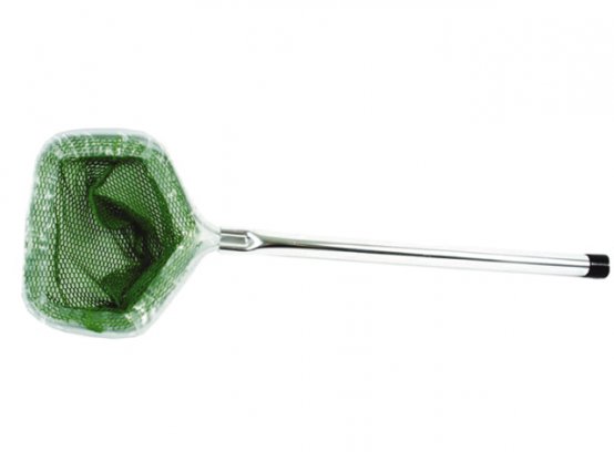 Filet, vivier, largeur 7 x 8,5 cm, profondeur 7 cm, poignée