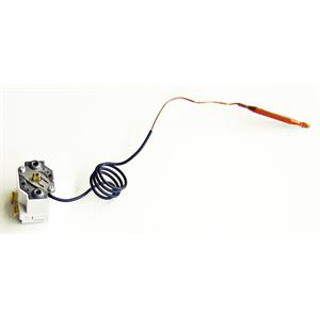 Thermostat f/Isotemp Basic