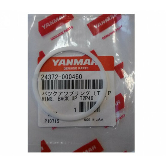 Sonnerie, Sauvegarde